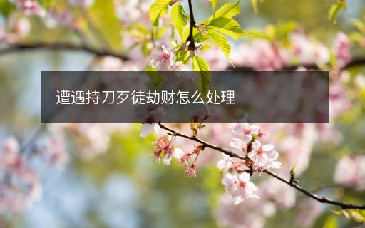 遭遇持刀歹徒劫財怎么處理