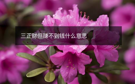 三正財?shù)嵅坏藉X什么意思
