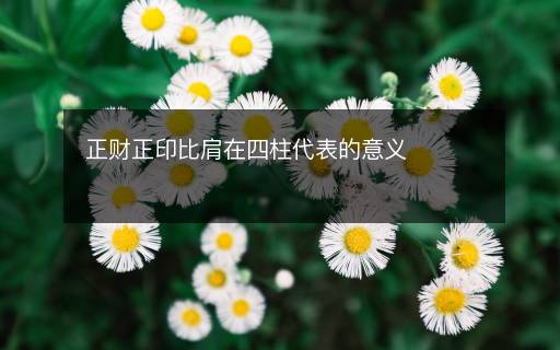 正財(cái)正印比肩在四柱代表的意義