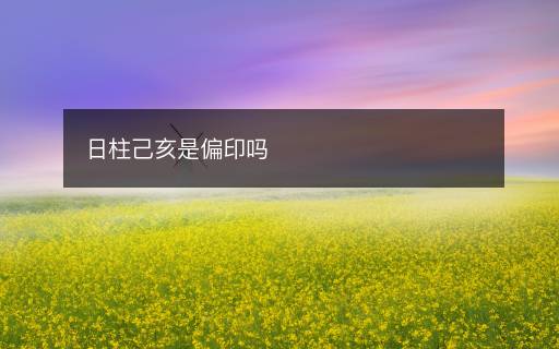 日柱己亥是偏印嗎