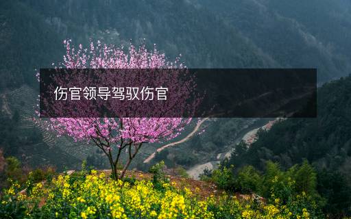傷官領(lǐng)導(dǎo)駕馭傷官