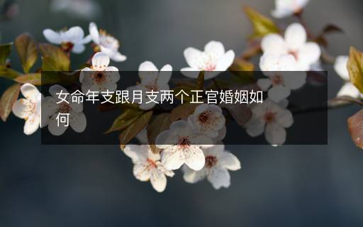 女命年支跟月支兩個正官婚姻如何