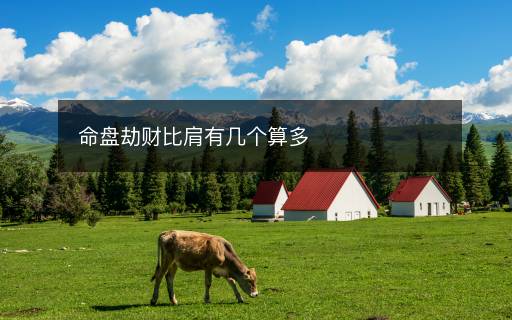 命盤劫財比肩有幾個算多