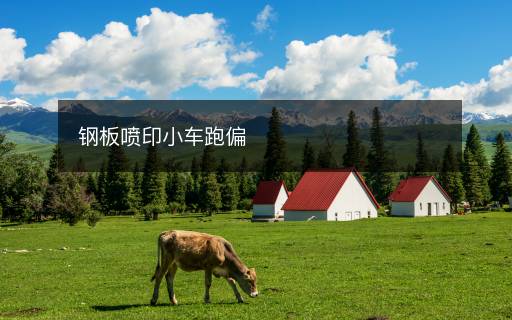 鋼板噴印小車(chē)跑偏
