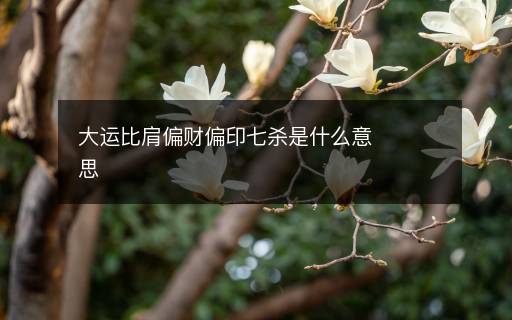 大運比肩偏財偏印七殺是什么意思