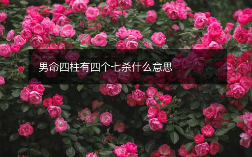 男命四柱有四個七殺什么意思