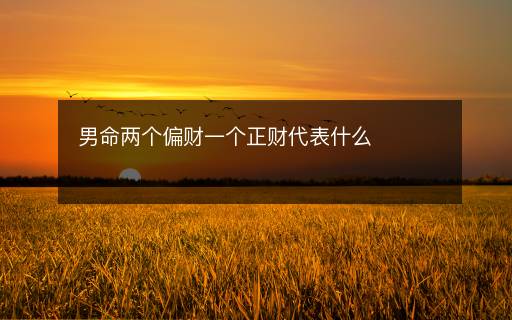 男命兩個偏財一個正財代表什么