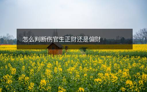 怎么判斷傷官生正財(cái)還是偏財(cái)