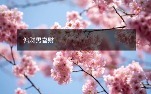 偏財男喜財