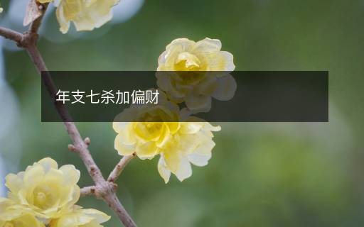 年支七殺加偏財