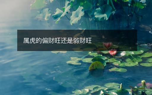 屬虎的偏財旺還是弱財旺