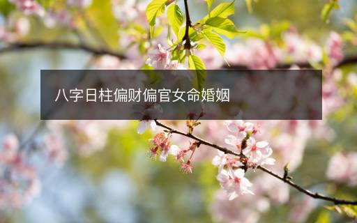 八字日柱偏財偏官女命婚姻