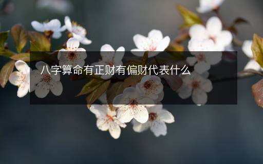 八字算命有正財有偏財代表什么