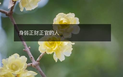 身弱正財正官的人