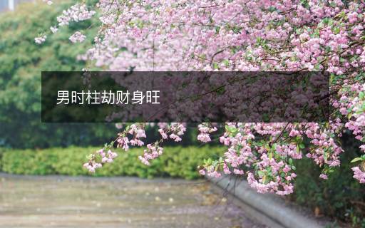 男時柱劫財身旺