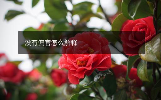 沒有偏官怎么解釋