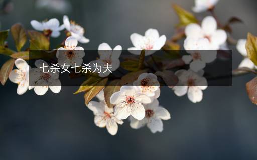 七殺女七殺為夫