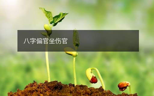 八字偏官坐傷官