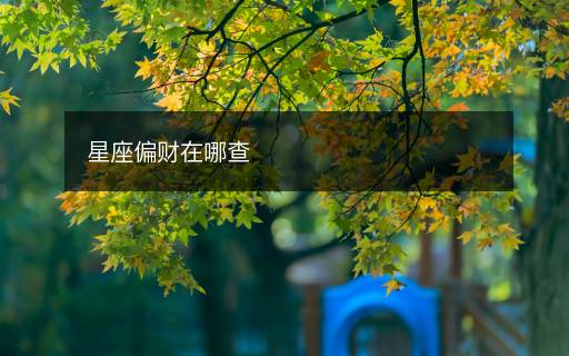 星座偏財在哪查