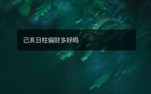 己亥日柱偏財多好嗎