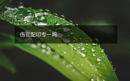 傷官配印專一嗎