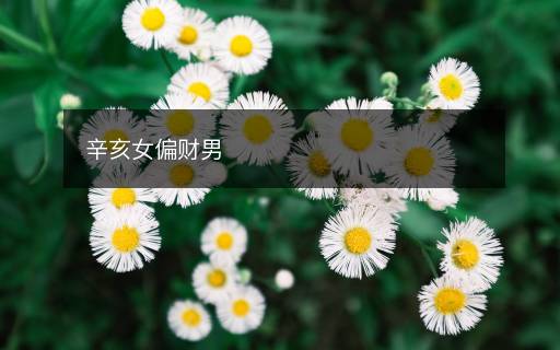 辛亥女偏財(cái)男