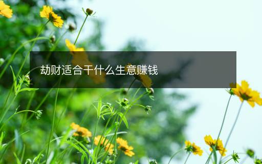 劫財(cái)適合干什么生意賺錢