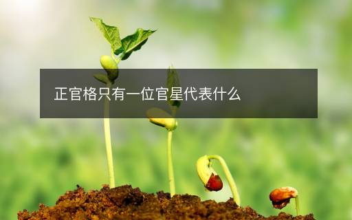 正官格只有一位官星代表什么