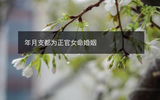 年月支都為正官女命婚姻