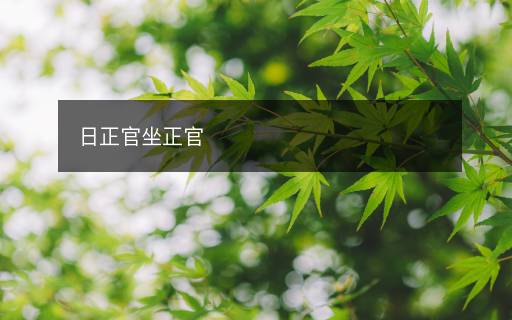 日正官坐正官