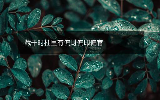 藏干時(shí)柱里有偏財(cái)偏印偏官