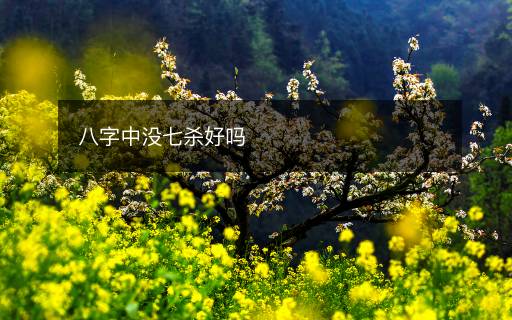 八字中沒七殺好嗎