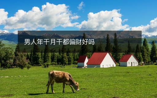 男人年干月干都偏財好嗎