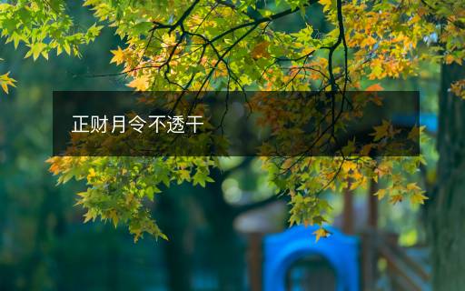 正財月令不透干