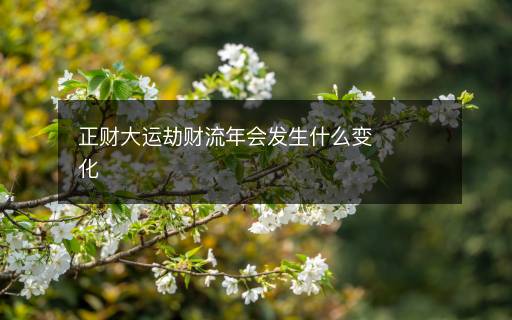 正財(cái)大運(yùn)劫財(cái)流年會(huì)發(fā)生什么變化