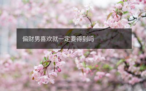 偏財男喜歡就一定要得到嗎