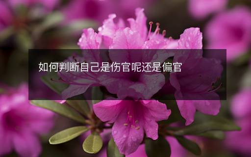 如何判斷自己是傷官呢還是偏官