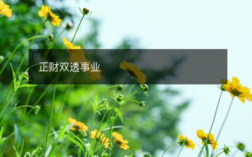 正財(cái)雙透事業(yè)