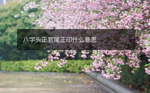 八字頭正官尾正印什么意思