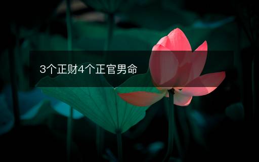 3個正財4個正官男命