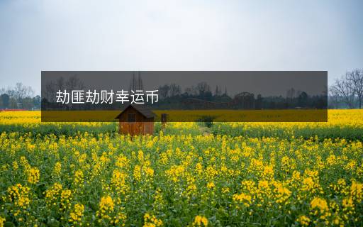 劫匪劫財(cái)幸運(yùn)幣