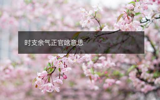 時(shí)支余氣正官啥意思