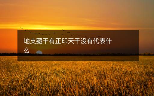 地支藏干有正印天干沒(méi)有代表什么
