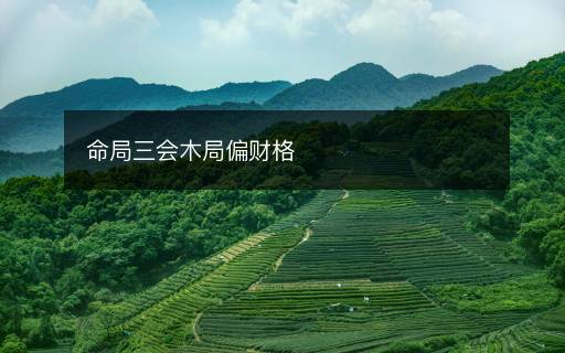 命局三會木局偏財格