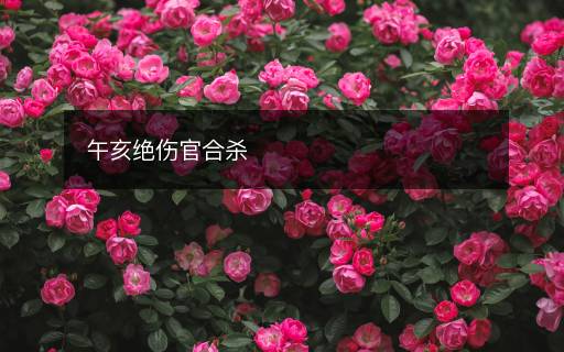 午亥絕傷官合殺