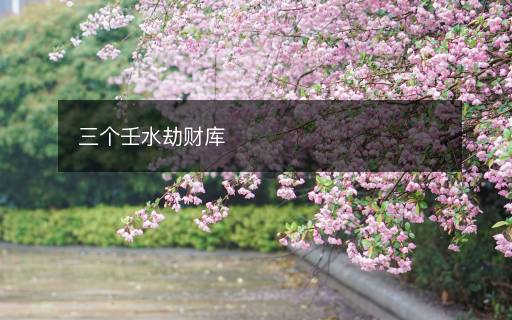 三個(gè)壬水劫財(cái)庫