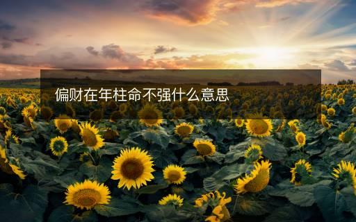 偏財在年柱命不強(qiáng)什么意思
