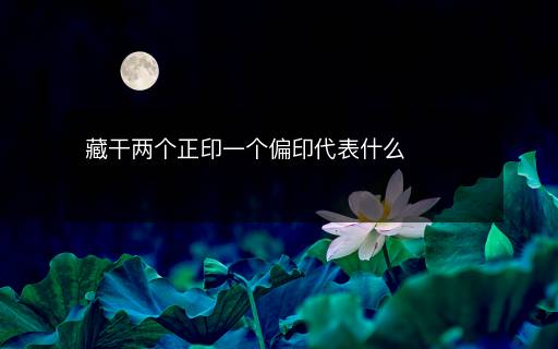 藏干兩個正印一個偏印代表什么