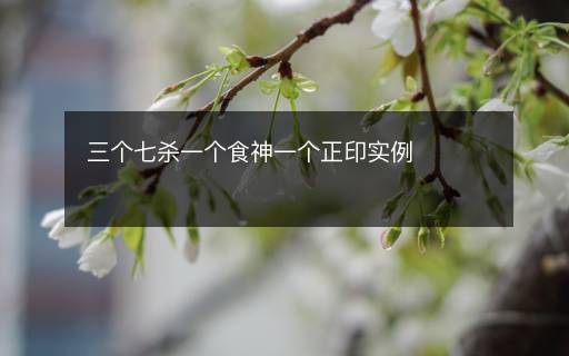 三個七殺一個食神一個正印實例