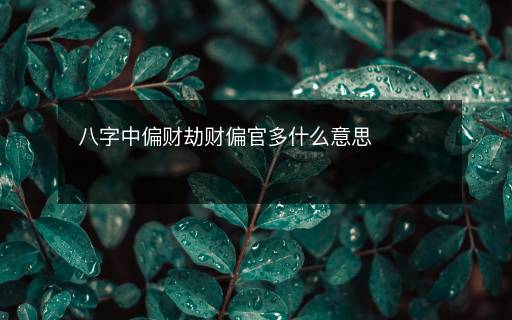 八字中偏財(cái)劫財(cái)偏官多什么意思
